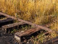 Grasbüschel wachsen zwischen den Gleisen der ehemaligen Torfbahn